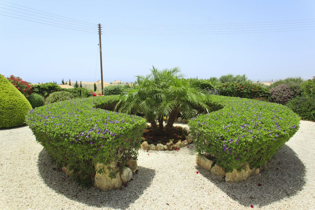 Green Forest - Cyprus' leading landscaping company - hedgesplants 19