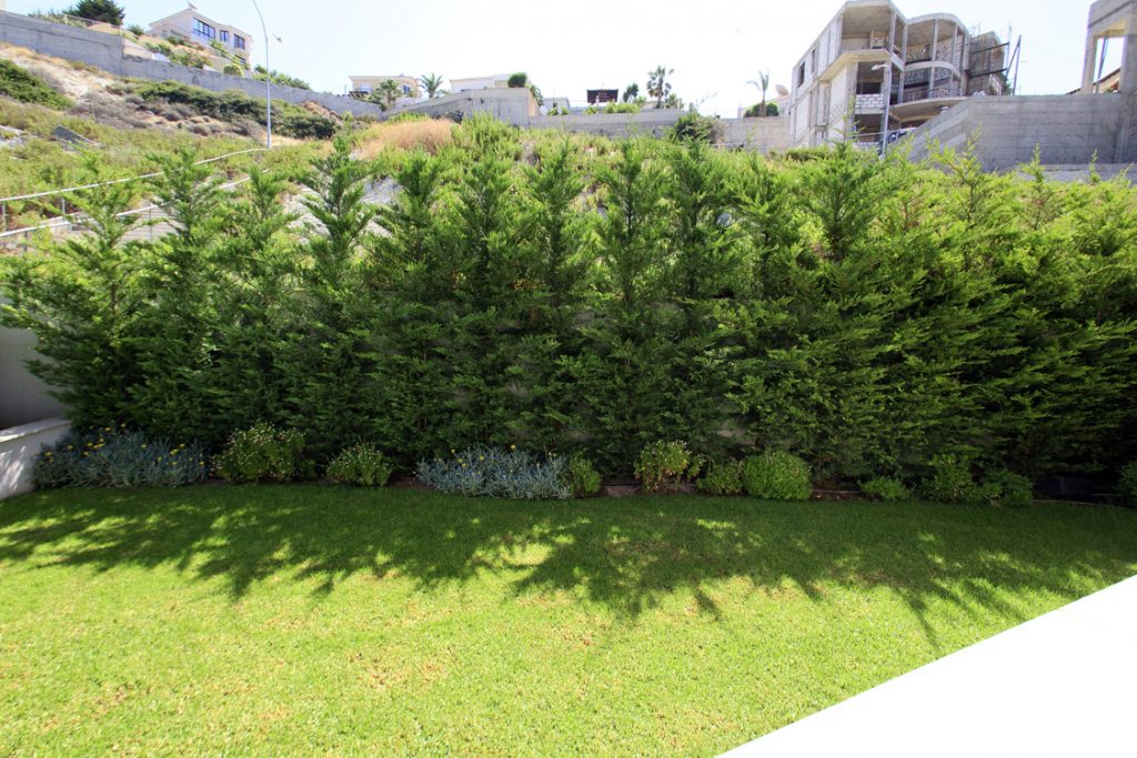 Green Forest - Cyprus' leading landscaping company - hedgesplants 35 1