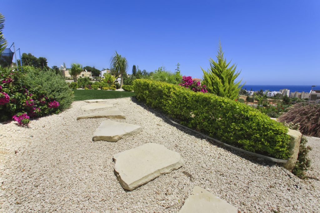 Green Forest - Cyprus' leading landscaping company - hedgesplants 38 2