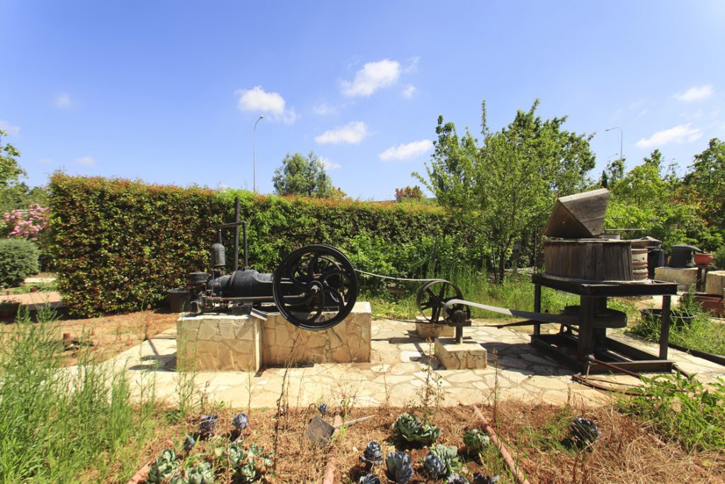 Green Forest - Cyprus' leading landscaping company - hedgesplants 40 2