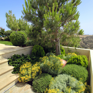 Green Forest - Cyprus' leading landscaping company - herbsplants 1