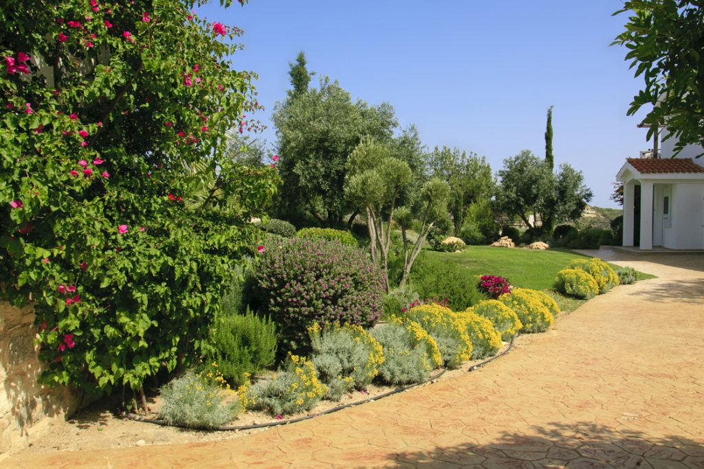 Green Forest - Cyprus' leading landscaping company - herbsplants 14