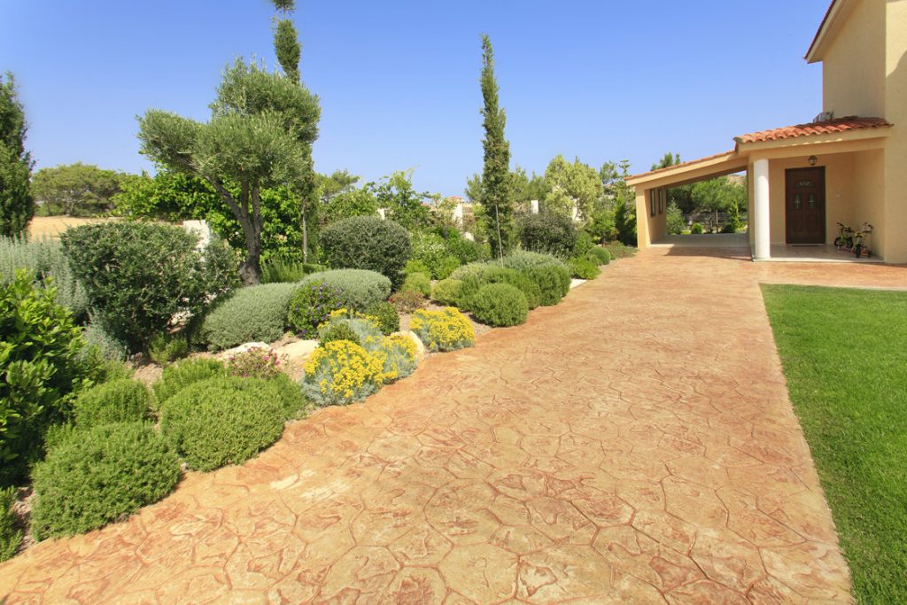 Green Forest - Cyprus' leading landscaping company - herbsplants 15 2