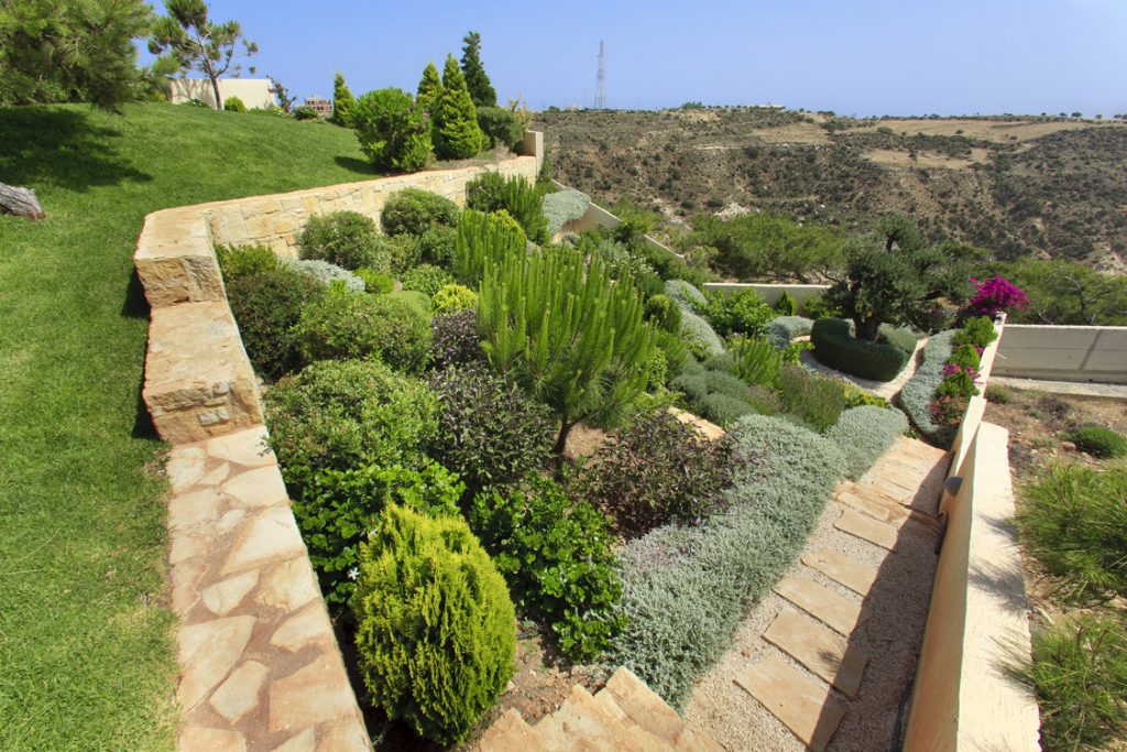 Green Forest - Cyprus' leading landscaping company - herbsplants 2 1