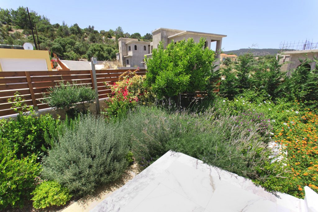 Green Forest - Cyprus' leading landscaping company - herbsplants 23 2