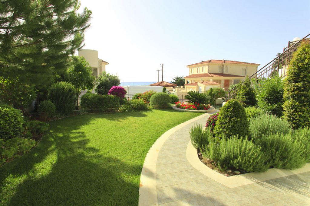 Green Forest - Cyprus' leading landscaping company - herbsplants 36 2