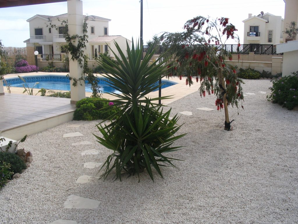 Green Forest - Cyprus' leading landscaping company - lowmaintenance 13 1