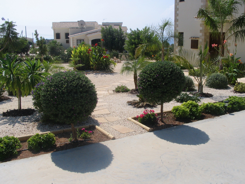 Green Forest - Cyprus' leading landscaping company - lowmaintenance 16