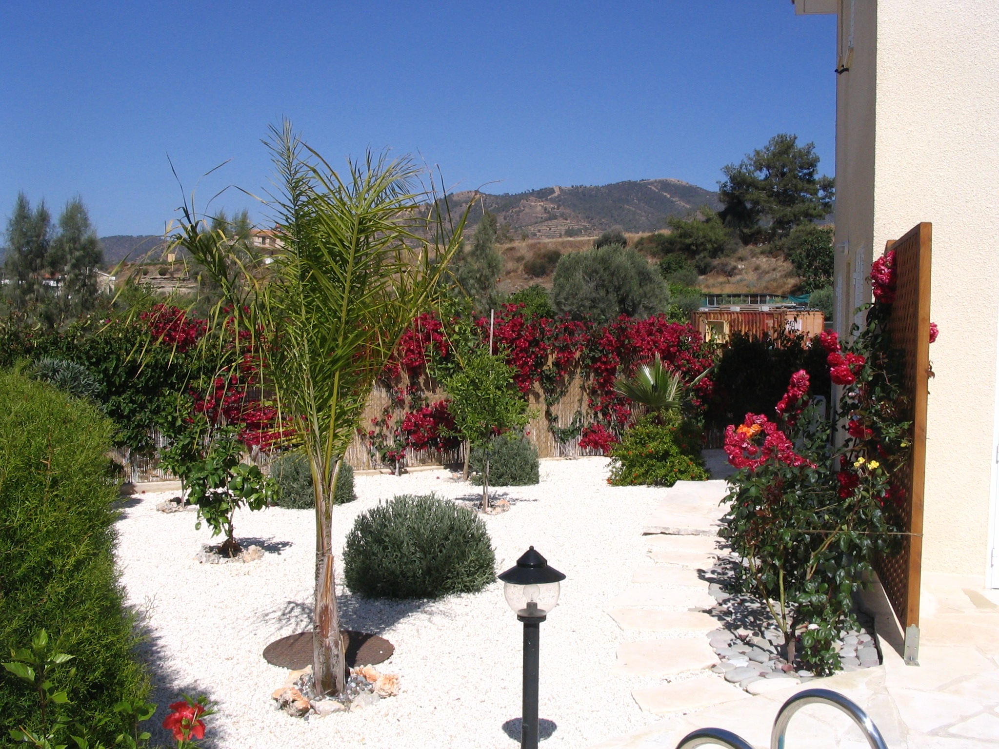 Green Forest - Cyprus' leading landscaping company - lowmaintenance 2 2