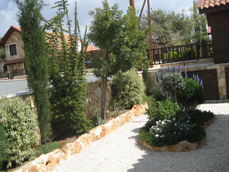 Green Forest - Cyprus' leading landscaping company - lowmaintenance 24