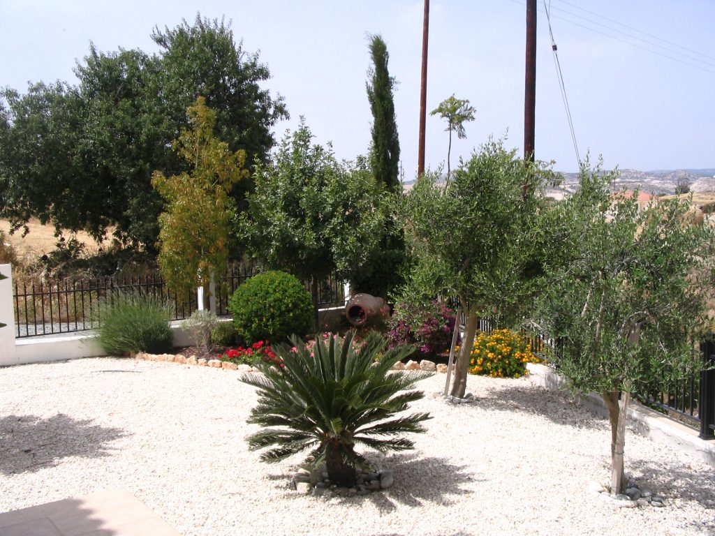 Green Forest - Cyprus' leading landscaping company - lowmaintenance 27