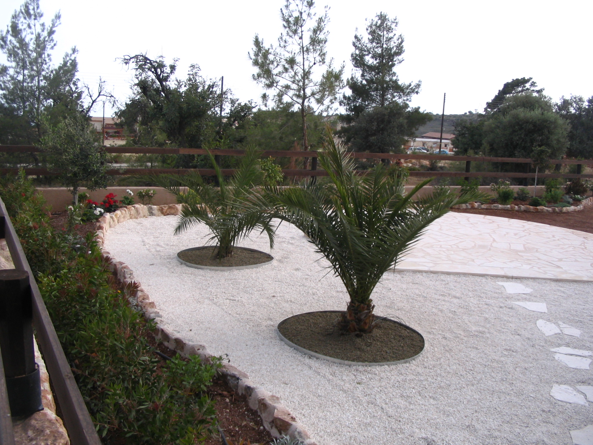 Green Forest - Cyprus' leading landscaping company - lowmaintenance 30 1