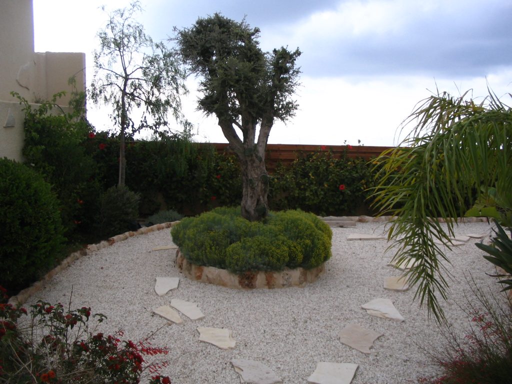 Green Forest - Cyprus' leading landscaping company - lowmaintenance 31 2