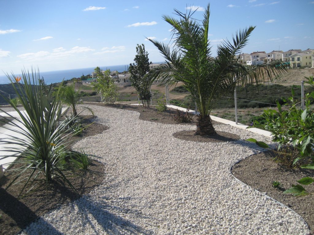 Green Forest - Cyprus' leading landscaping company - lowmaintenance 34 1