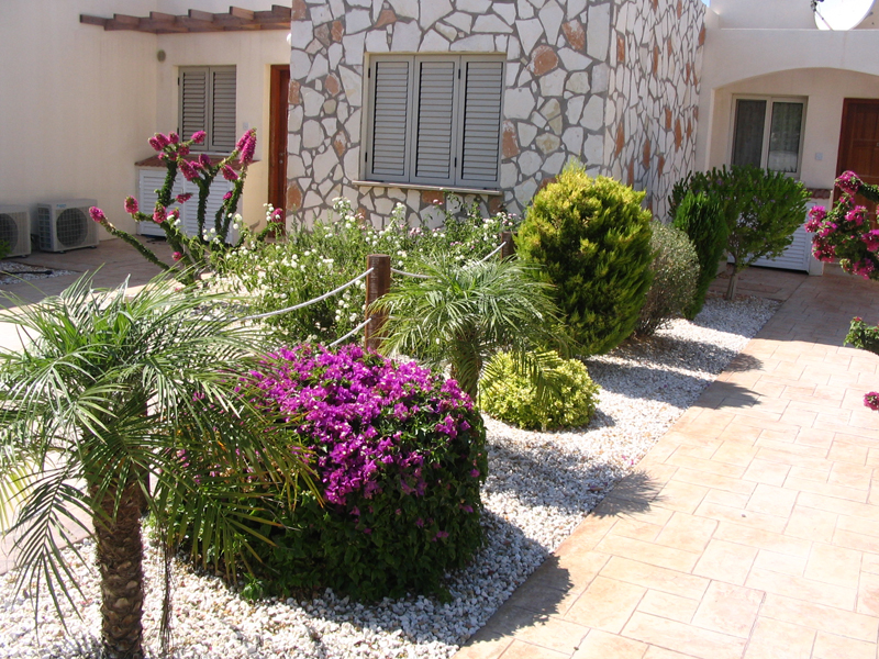 Green Forest - Cyprus' leading landscaping company - lowmaintenance 4