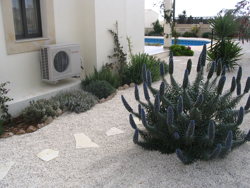 Green Forest - Cyprus' leading landscaping company - lowmaintenance 9
