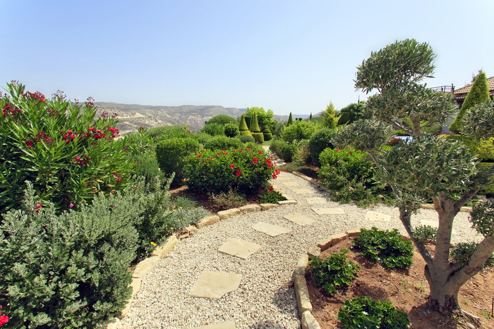 Green Forest - Cyprus' leading landscaping company - luxurygardens 15 1