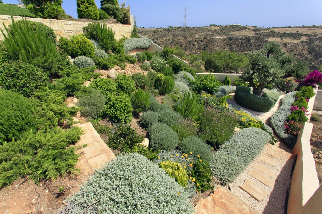 Green Forest - Cyprus' leading landscaping company - luxurygardens 20