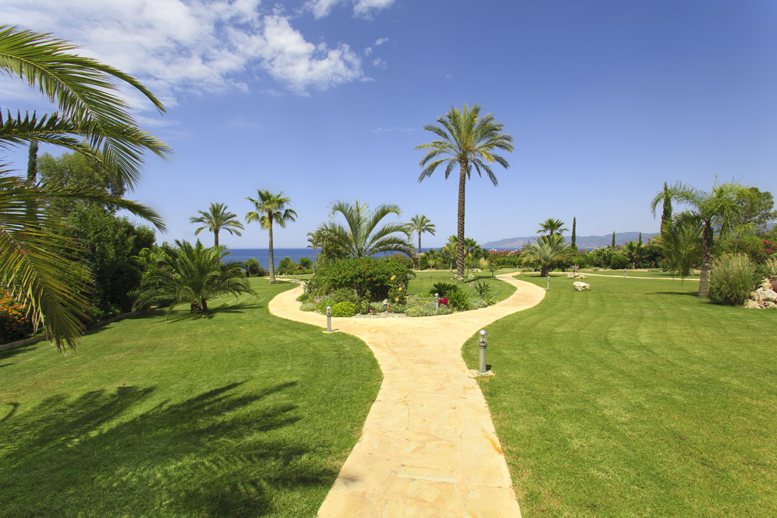 Green Forest - Cyprus' leading landscaping company - luxurygardens 21 2