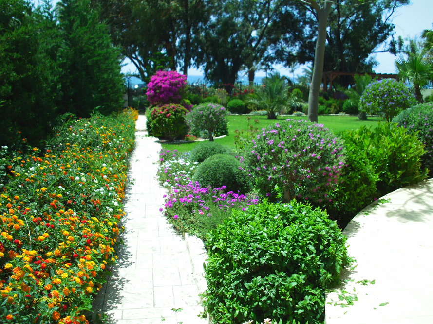 Green Forest - Cyprus' leading landscaping company - luxurygardens 24 2