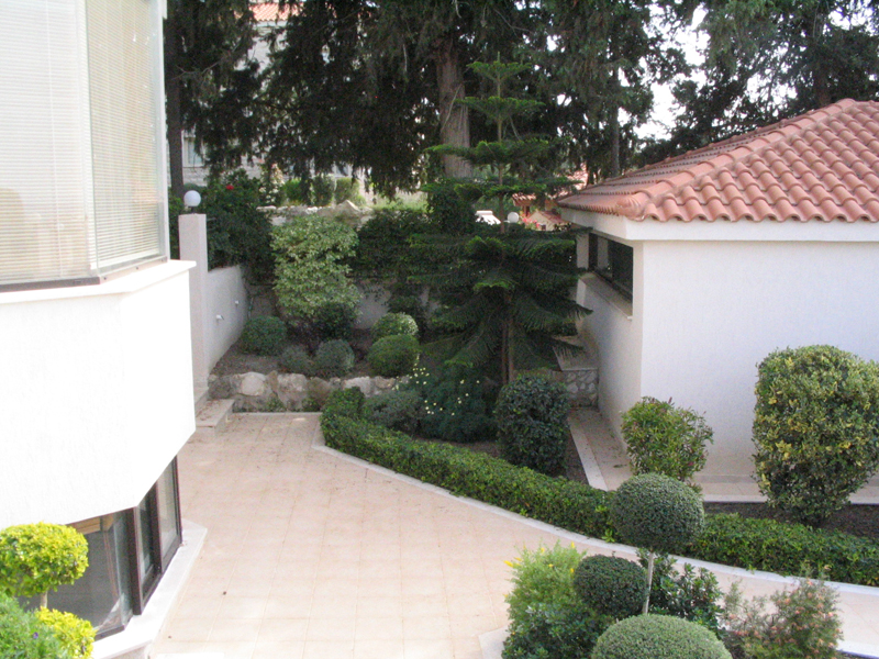 Green Forest - Cyprus' leading landscaping company - luxurygardens 36