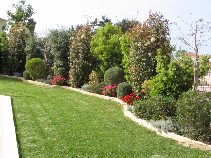 Green Forest - Cyprus' leading landscaping company - luxurygardens 37 2