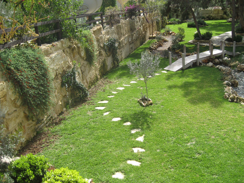Green Forest - Cyprus' leading landscaping company - luxurygardens 39 2