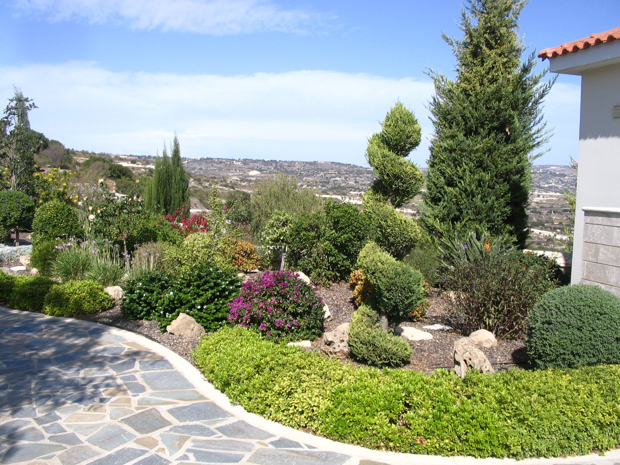 Green Forest - Cyprus' leading landscaping company - luxurygardens 42 2