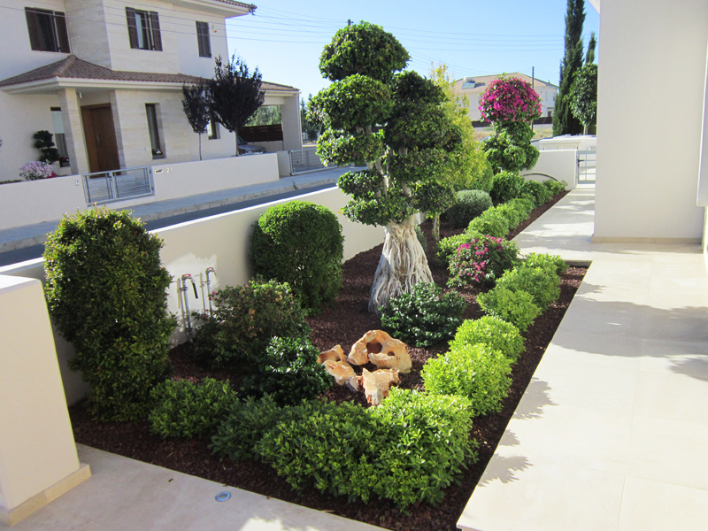 Green Forest - Cyprus' leading landscaping company - luxurygardens 45