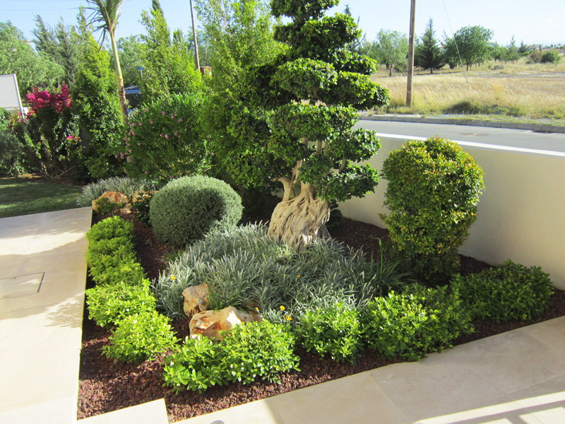 Green Forest - Cyprus' leading landscaping company - luxurygardens 46