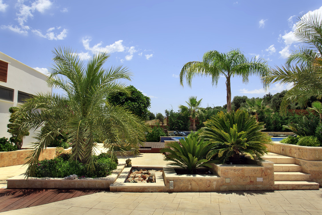 Green Forest - Cyprus' leading landscaping company - luxurygardens 6