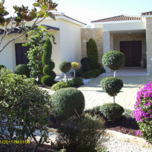 Green Forest - Cyprus' leading landscaping company - markhapotami 1 2