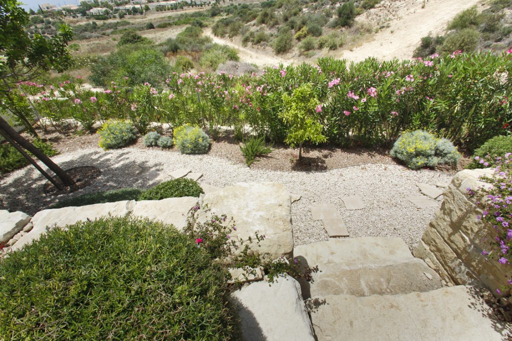 Green Forest - Cyprus' leading landscaping company - markhapotami 10 3
