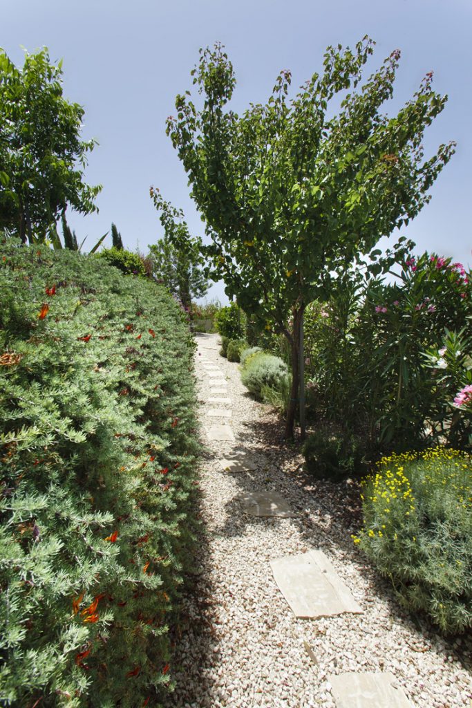 Green Forest - Cyprus' leading landscaping company - markhapotami 13 3