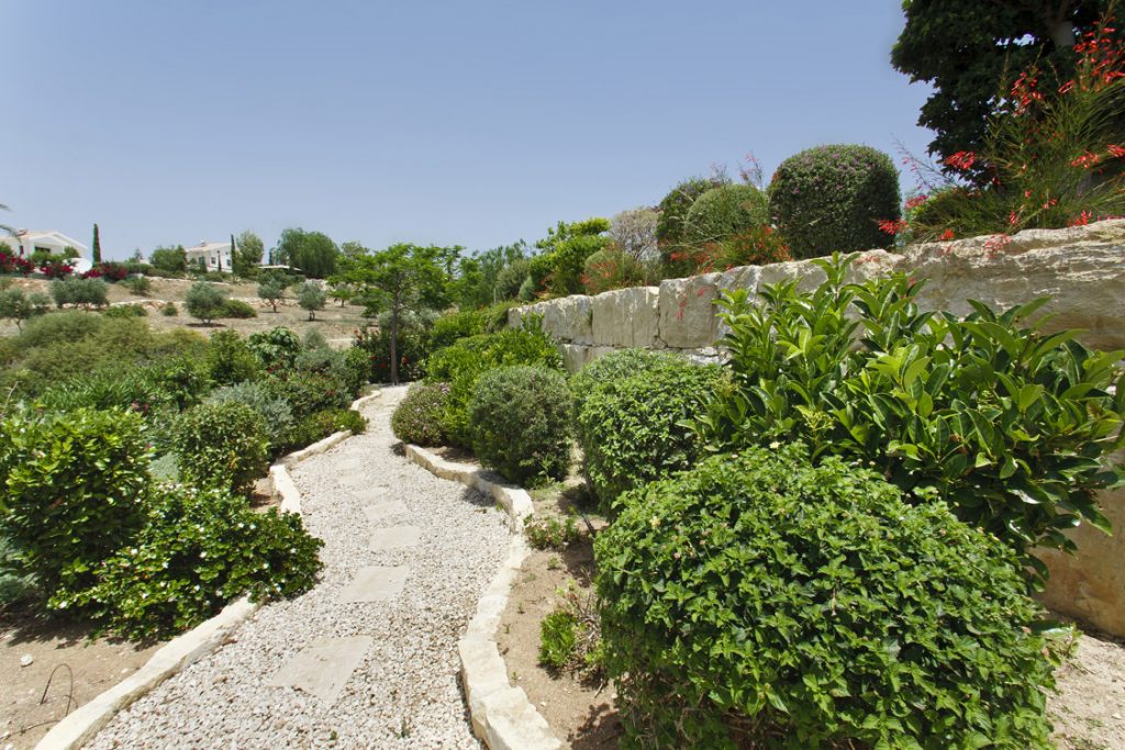 Green Forest - Cyprus' leading landscaping company - markhapotami 14 3
