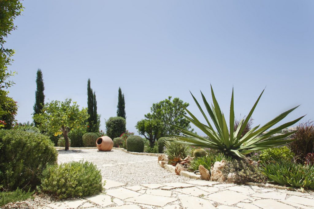 Green Forest - Cyprus' leading landscaping company - markhapotami 15 3