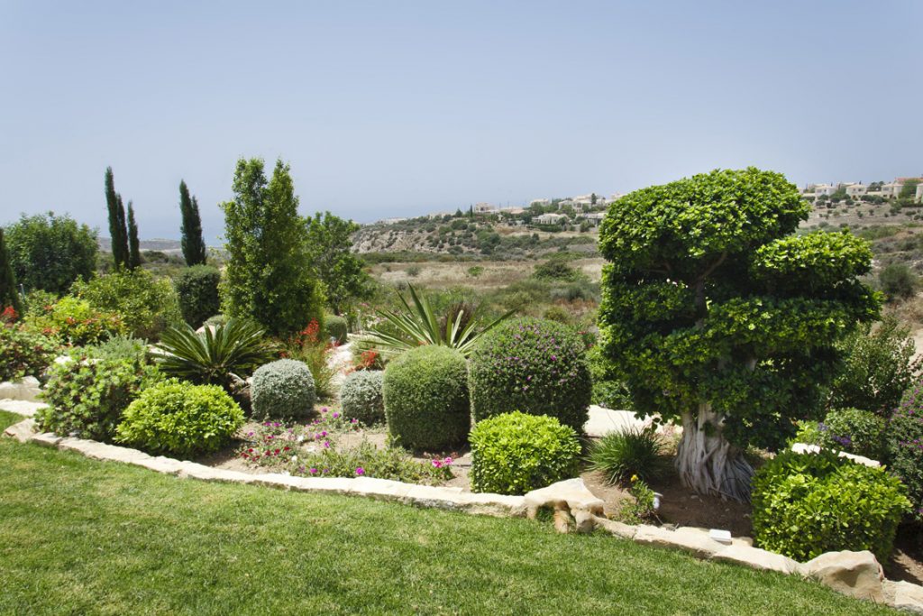Green Forest - Cyprus' leading landscaping company - markhapotami 16 3