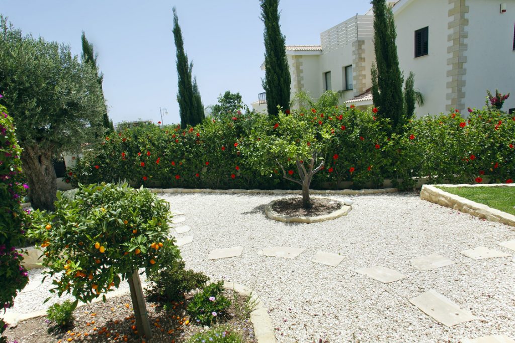 Green Forest - Cyprus' leading landscaping company - markhapotami 3 3
