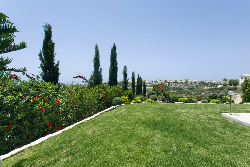 Green Forest - Cyprus' leading landscaping company - markhapotami 6 3