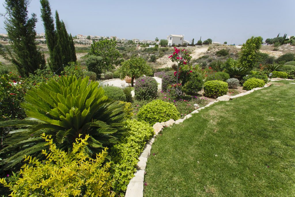 Green Forest - Cyprus' leading landscaping company - markhapotami 7 2