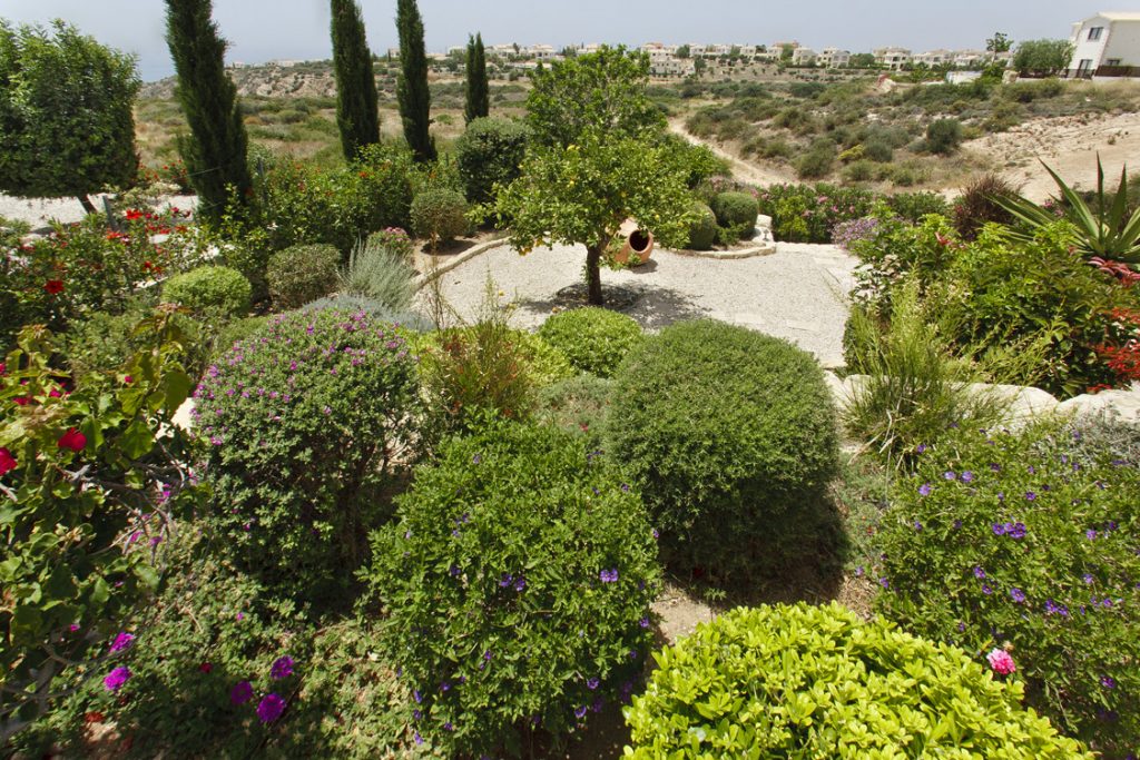 Green Forest - Cyprus' leading landscaping company - markhapotami 8 3