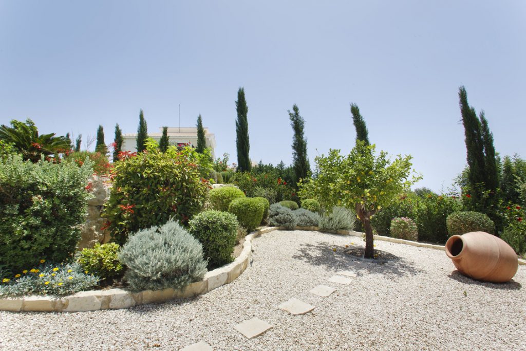 Green Forest - Cyprus' leading landscaping company - markhapotami 9 3
