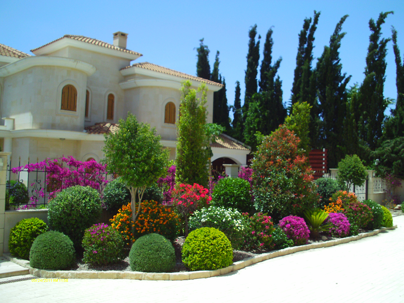 Green Forest - Cyprus' leading landscaping company - mediterraneangardens 1 1