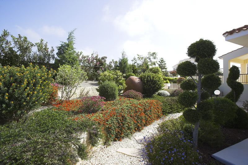 Green Forest - Cyprus' leading landscaping company - mediterraneangardens 12