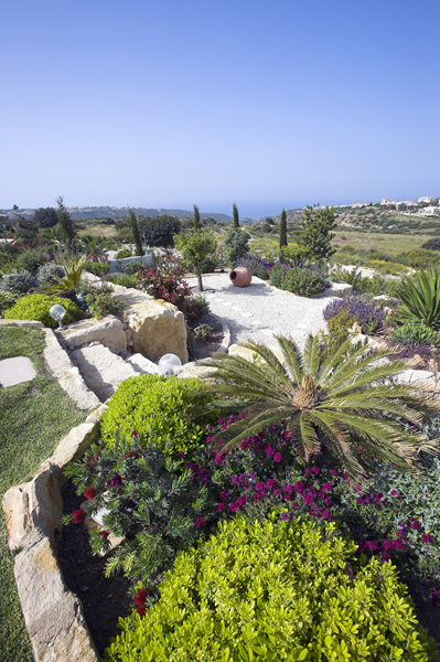 Green Forest - Cyprus' leading landscaping company - mediterraneangardens 14 1