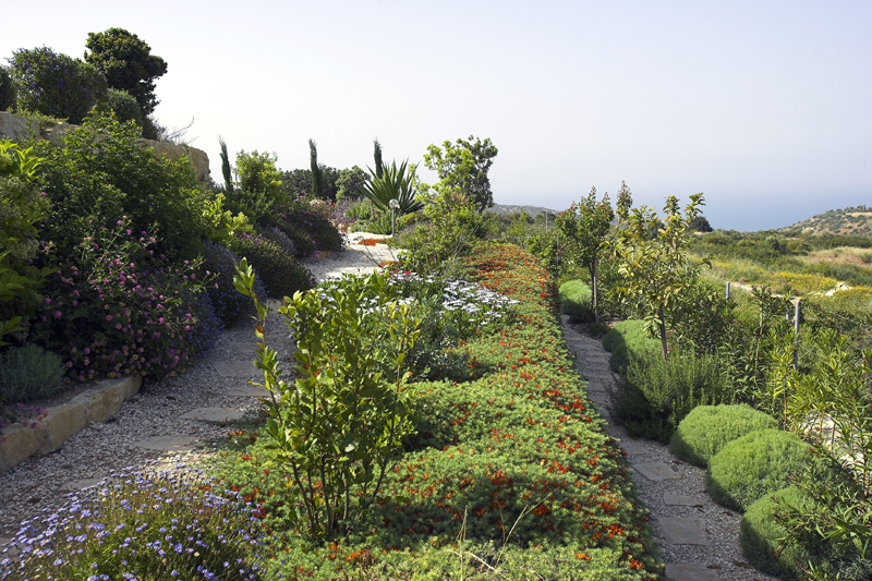 Green Forest - Cyprus' leading landscaping company - mediterraneangardens 15