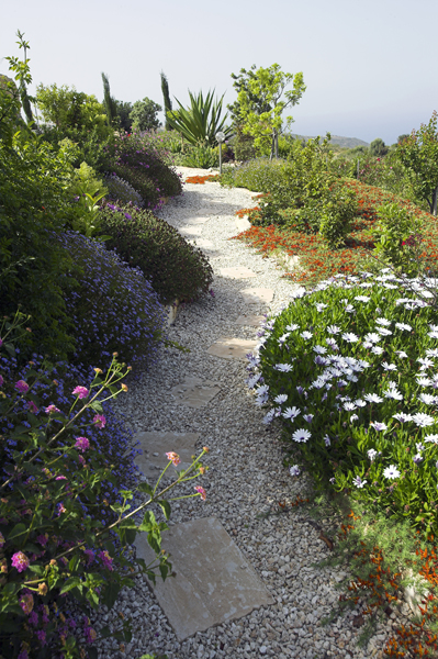 Green Forest - Cyprus' leading landscaping company - mediterraneangardens 16