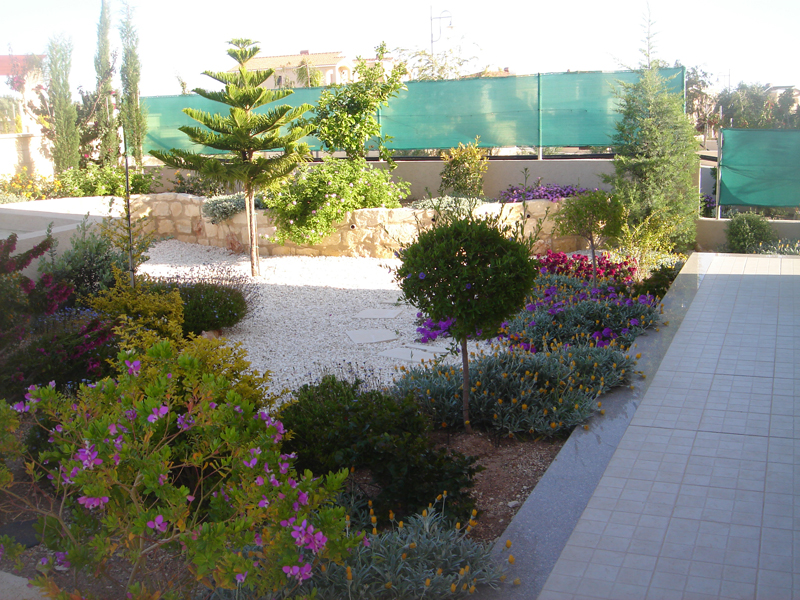Green Forest - Cyprus' leading landscaping company - mediterraneangardens 17 2