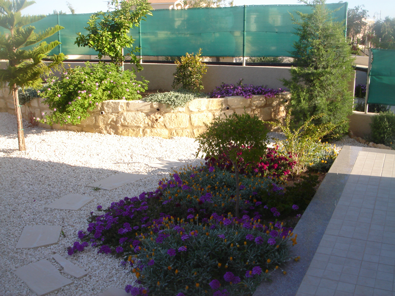 Green Forest - Cyprus' leading landscaping company - mediterraneangardens 18