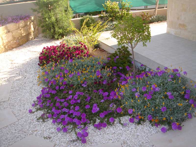 Green Forest - Cyprus' leading landscaping company - mediterraneangardens 20 2